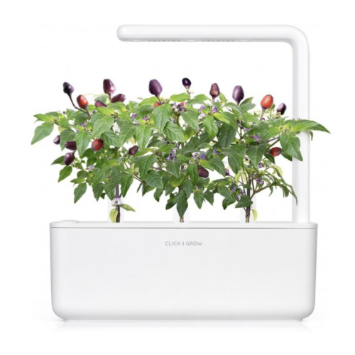 Click and Grow Smart Garden Refill 3-pack - Purple Chili